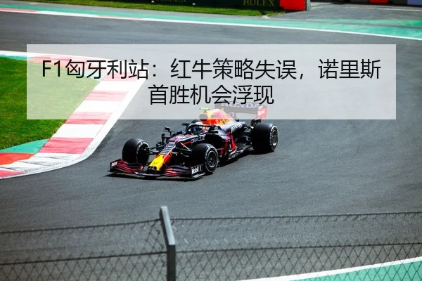 F1匈牙利站：红牛策略失误，诺里斯首胜机会浮现
